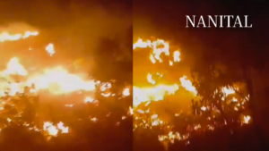 Nainital Forest Fire