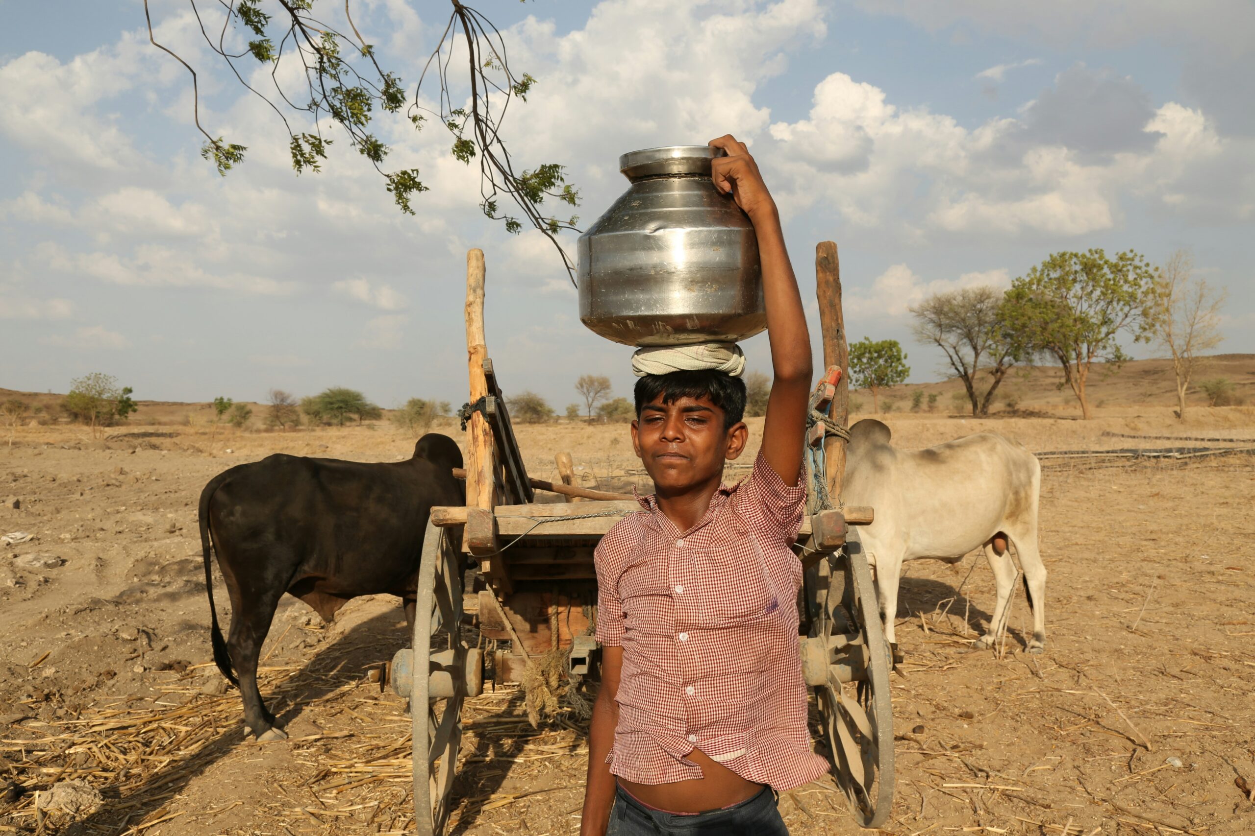 IMD heatwave warning